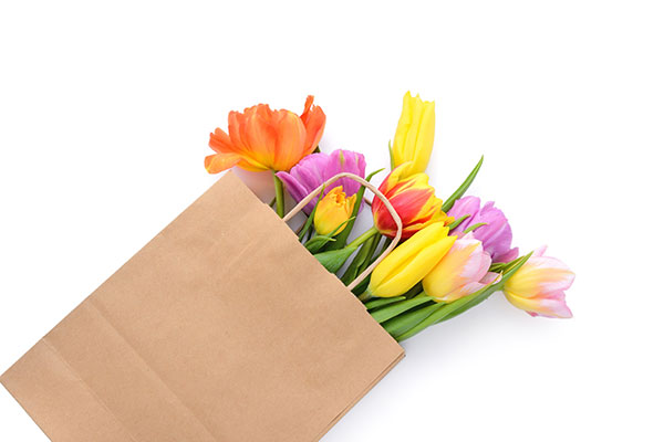 عکس شاخه گل های لاله