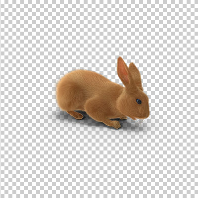 عکس برش خورده سه بعدی خرگوش قهوه ای