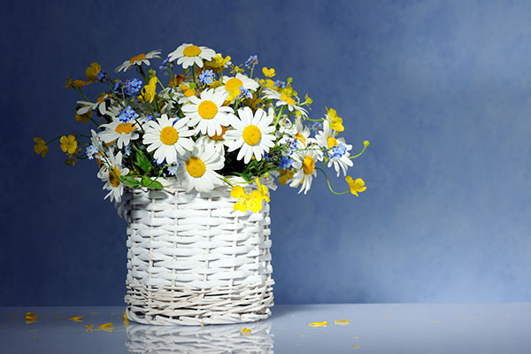 عکس  دسته گل مروارید