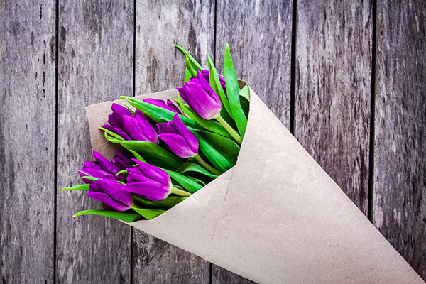 عکس دسته گل لاله بنفش