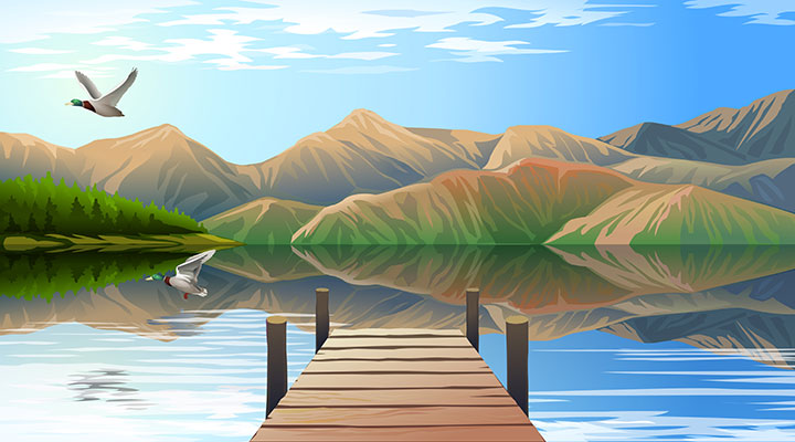 وکتور کاراکتر طبیعت و مرغ دریایی