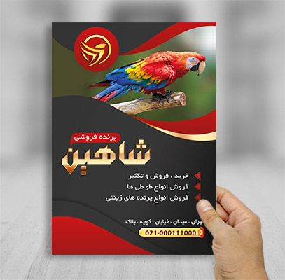 طرح لایه باز تراکت رنگی پرنده فروشی