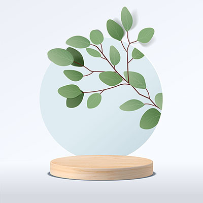 عکس بک گراند مدل مینیمال برگ درخت