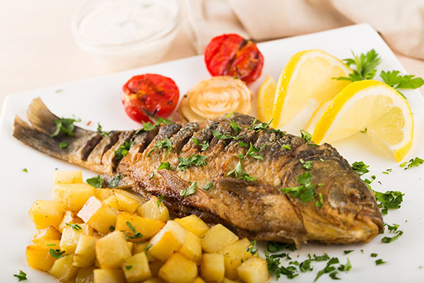 عکس تبلیغاتی خوراک ماهی
