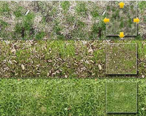 مجموعه ابزارهای فتوشاپ پترن طرح چمن