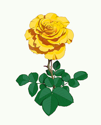 وکتور گل زرد