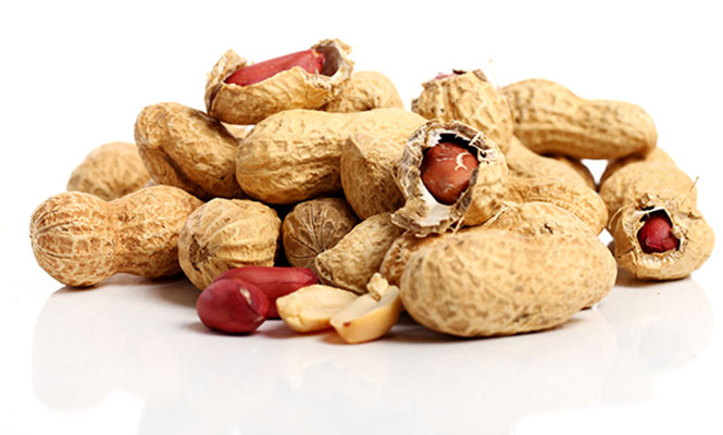عکس بادام زمینی