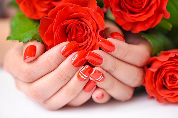 عکس شاخه گل های رز قرمز