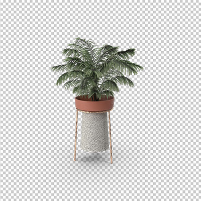 عکس گل و گلدان