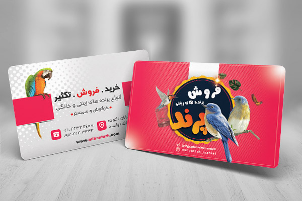طرح لایه باز کارت ویزیت پرنده فروشی
