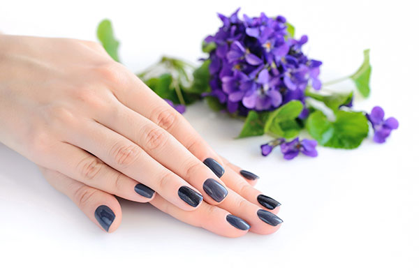 عکس گل زیبای بنفش