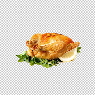 عکس برش خورده مرغ شکم پور