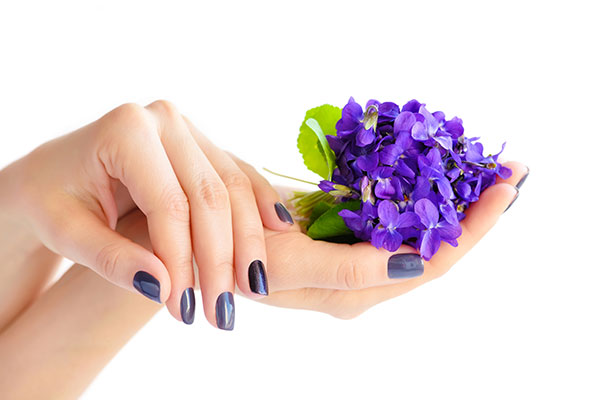 عکس گل های بنفش کوچک