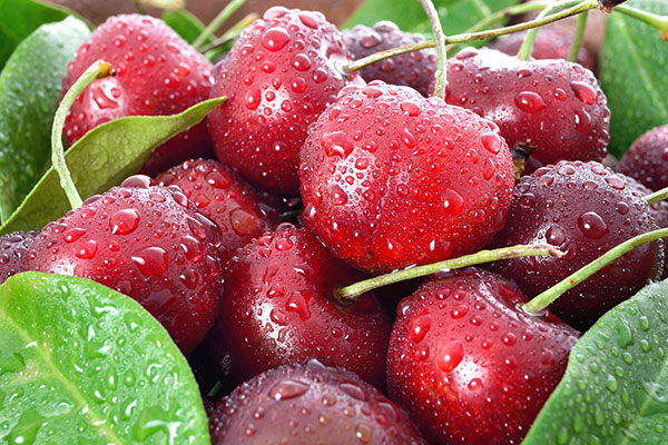 عکس گیلاس تازه