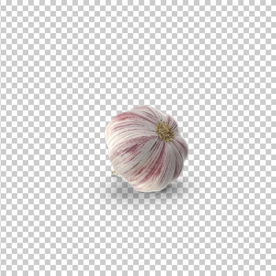 عکس برش خورده سه بعدی سیر