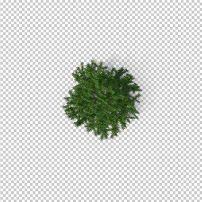 عکس برش خورده دوربری درخت