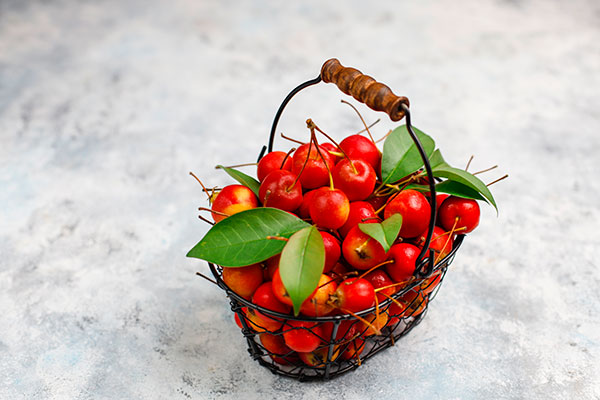 عکس تبلیغاتی آلبالو