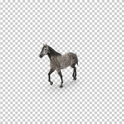 عکس برش خورده سه بعدی اسب خاکستری