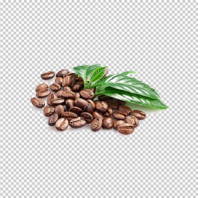 عکس برش خورده دانه قهوه