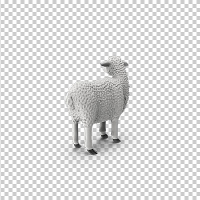 عکس برش خورده سه بعدی گوسفند