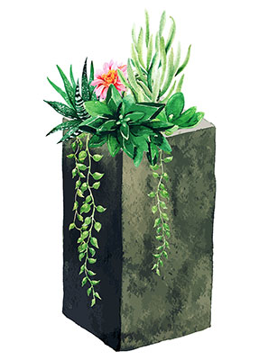 وکتور گیاه آپارتمانی