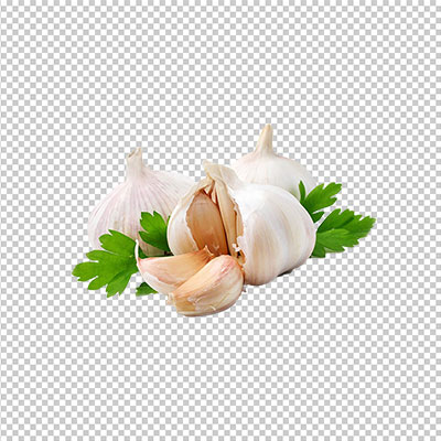 عکس برش خورده سیر