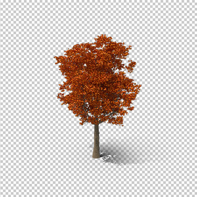 عکس برش خورده دوربری درخت