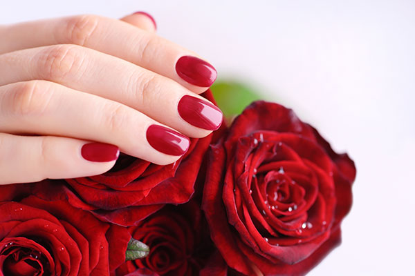 عکس گل رز قرمز