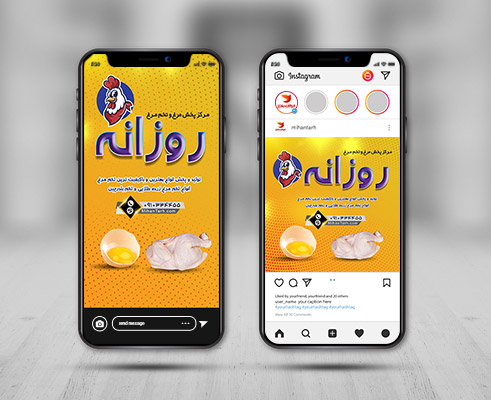 طرح لایه باز پست و استوری اینستاگرام مرکز پخش مرغ و تخم مرغ