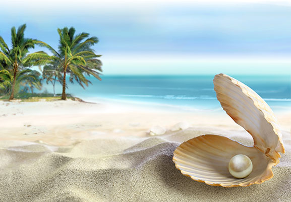 عکس منظره ساحل دریا