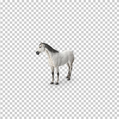 عکس برش خورده سه بعدی اسب خاکستری