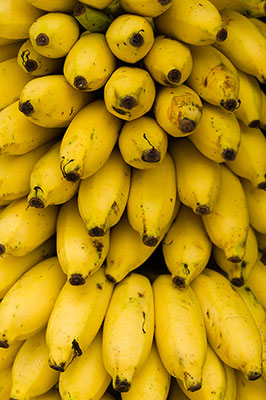 عکس موز