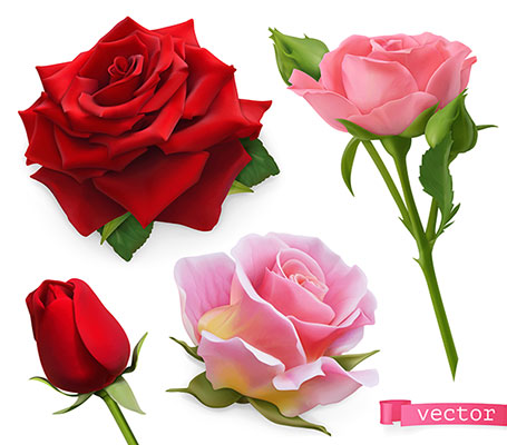 وکتور کاراکتر گل قرمز