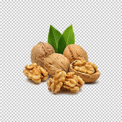 عکس برش خورده گردو