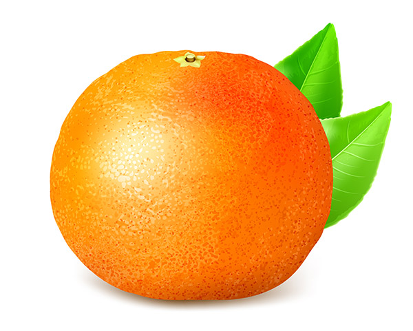 وکتور پرتقال