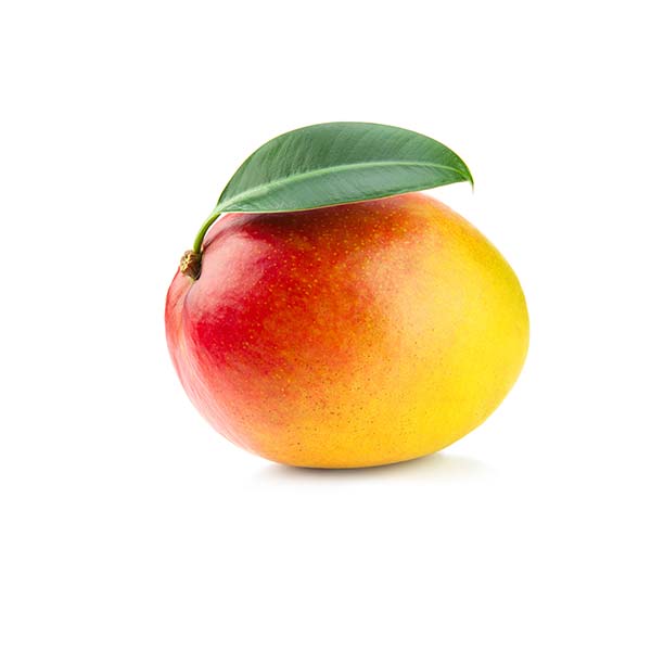 عکس مانگو