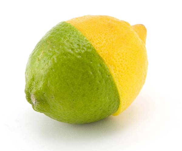 عکس لیمو