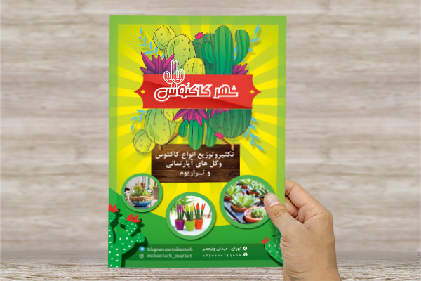 طرح لایه باز فروشگاه کاکتوس