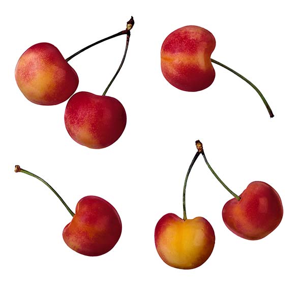 عکس میوه گیلاس