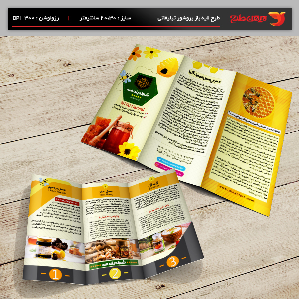 طرح لایه باز بروشور شرکت شهدینه گلها - ایران عسل