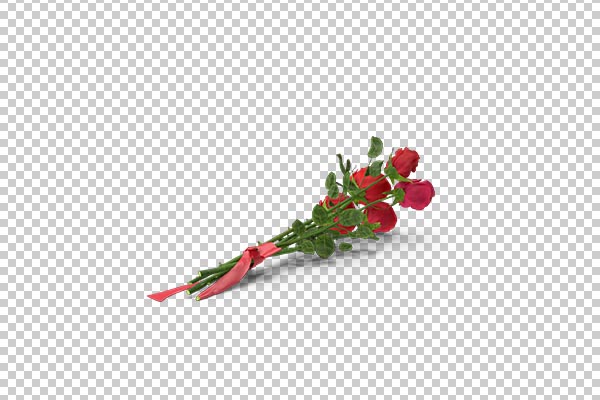 تصویر سه بعدی دوربری شاخه گل قرمز