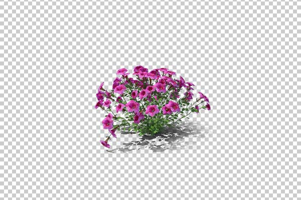 تصویر سه بعدی دوربری گل بنفش