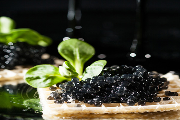 عکس خاویار