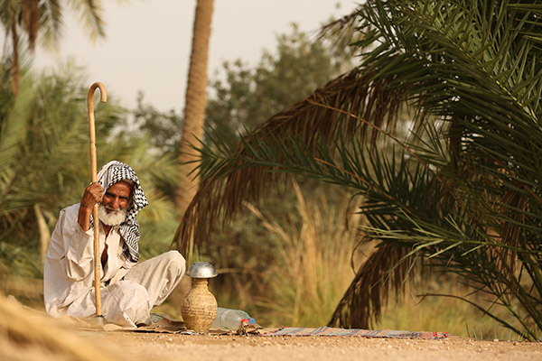 عکس پیرمرد در پیاده اربعین حسینی