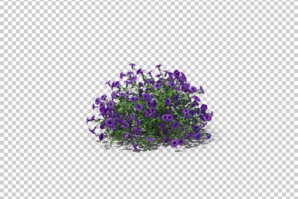 تصویر سه بعدی دوربری بوته گل