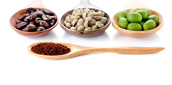 عکس دانه خام قهوه