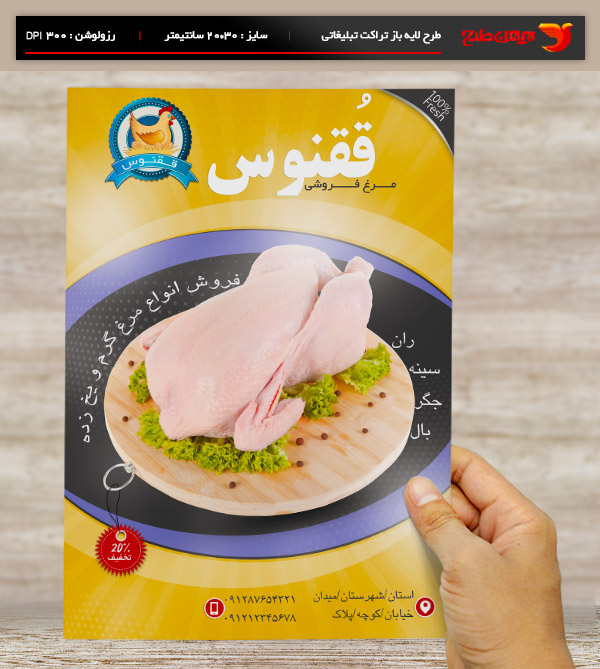 طرح لایه باز تراکت رنگی مرغ فروشی ققنوس