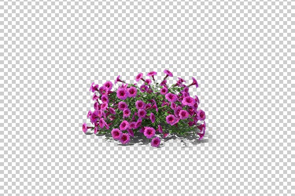 تصویر سه بعدی دوربری بوته گل