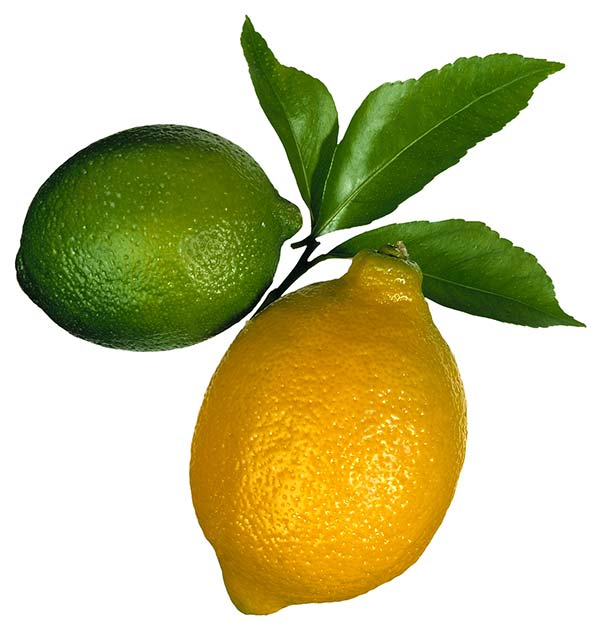 عکس میوه لیمو