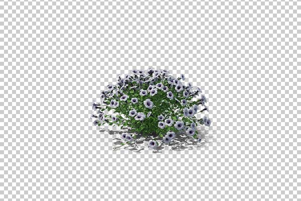 تصویر سه بعدی دوربری گل